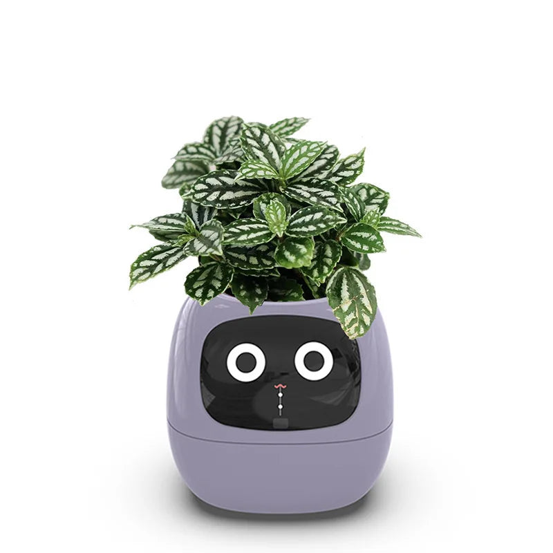 Ivy Interactive Smart Planter™