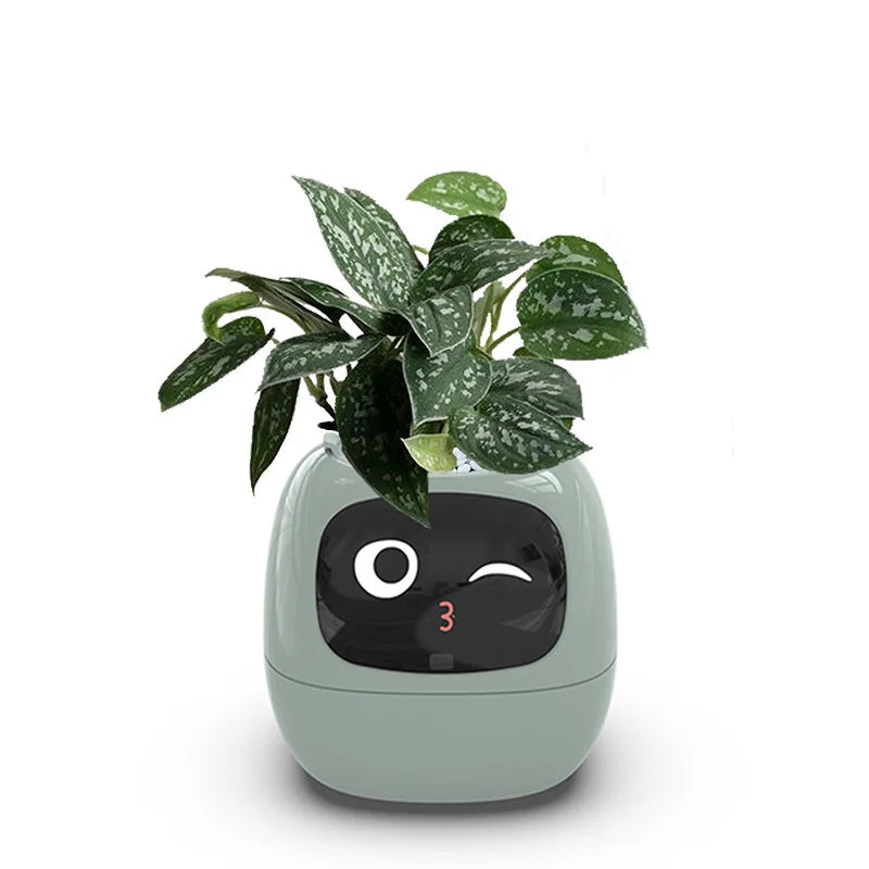 Ivy Interactive Smart Planter™