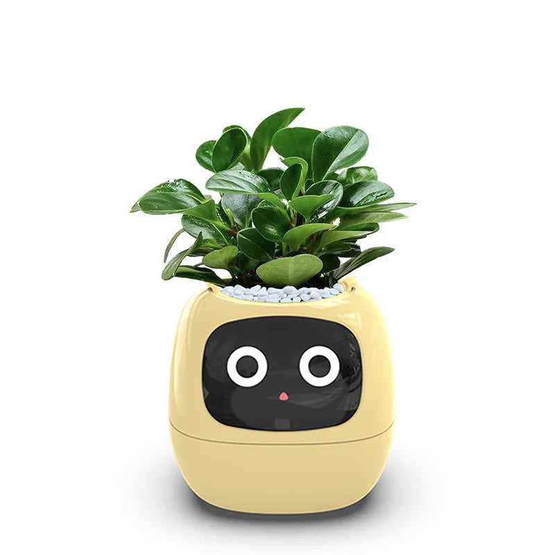 Ivy Interactive Smart Planter™
