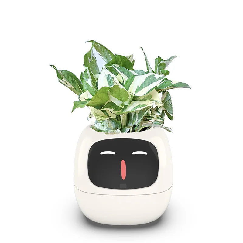 Ivy Interactive Smart Planter™