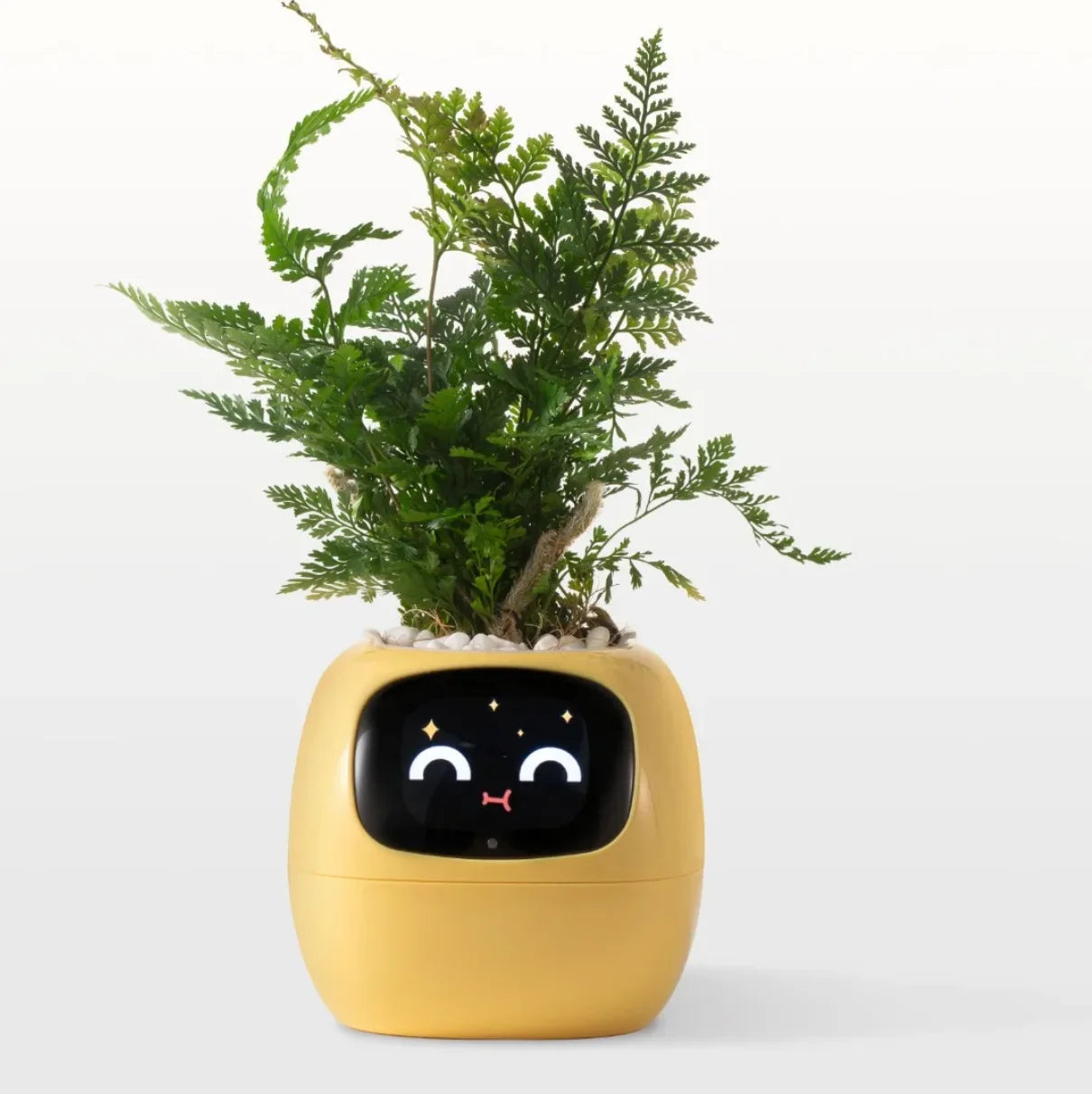 Ivy Interactive Smart Planter™